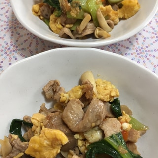 豚小間と青梗菜のオイスター炒め